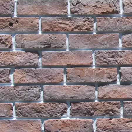 Dekoratif Kültür Tuğla, Çıkma Tuğla PS 1012